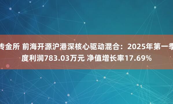 传金所 前海开源沪港深核心驱动混合：2025年第一季度利润783.03万元 净值增长率17.69%