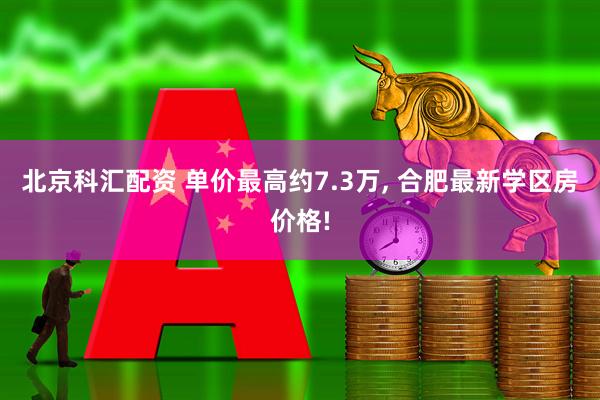 北京科汇配资 单价最高约7.3万, 合肥最新学区房价格!